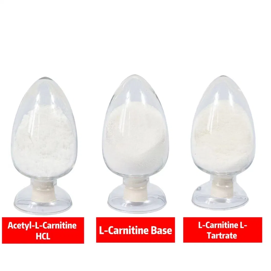 Food Additives Good Price CAS 36687-82-8 Fat Burn L-Carnitine-L-Tartrate